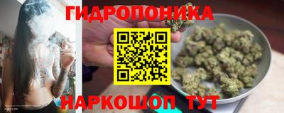 прущие грибы Донецк